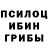 Галлюциногенные грибы GOLDEN TEACHER Ryry 2228