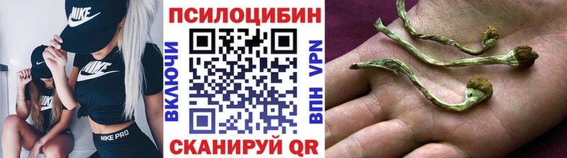 Галлюциногенные грибы Magic Shrooms  Купить  Кедровый 